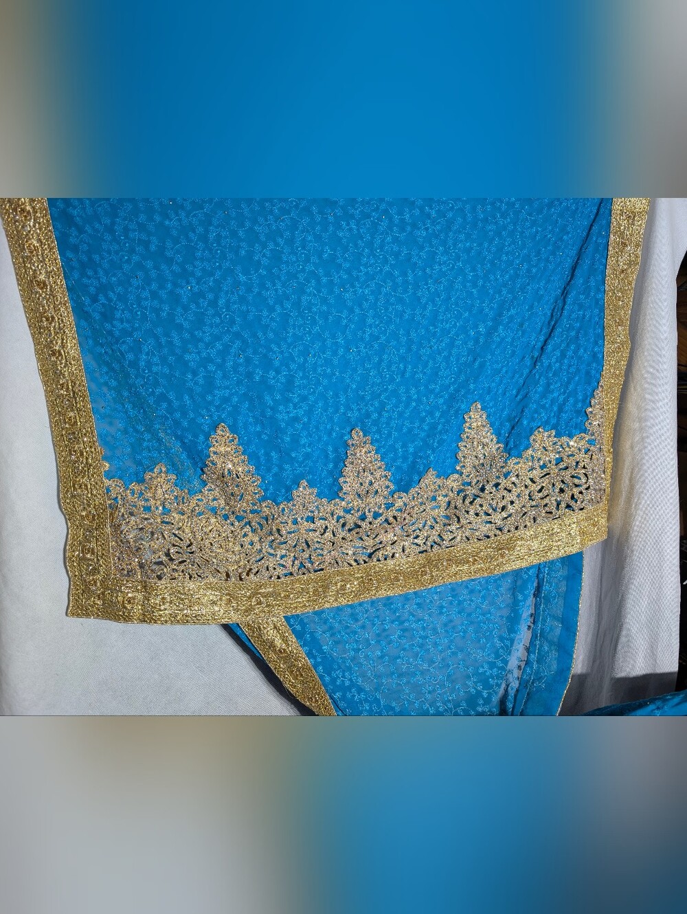 Saree Kingdom Turquoise Blue Gold Embroidered Zardozi Cutwork Saree 40x205